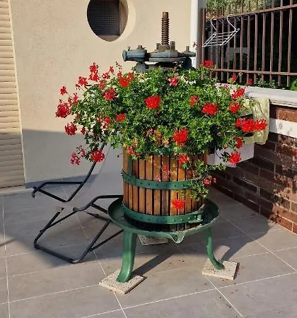 Monti D'amare *
